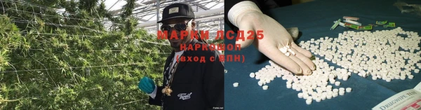 амф Михайловка